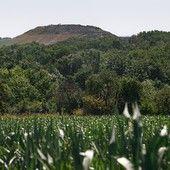 Reakce společnosti AVE CZ na tendenční reportáž ČT