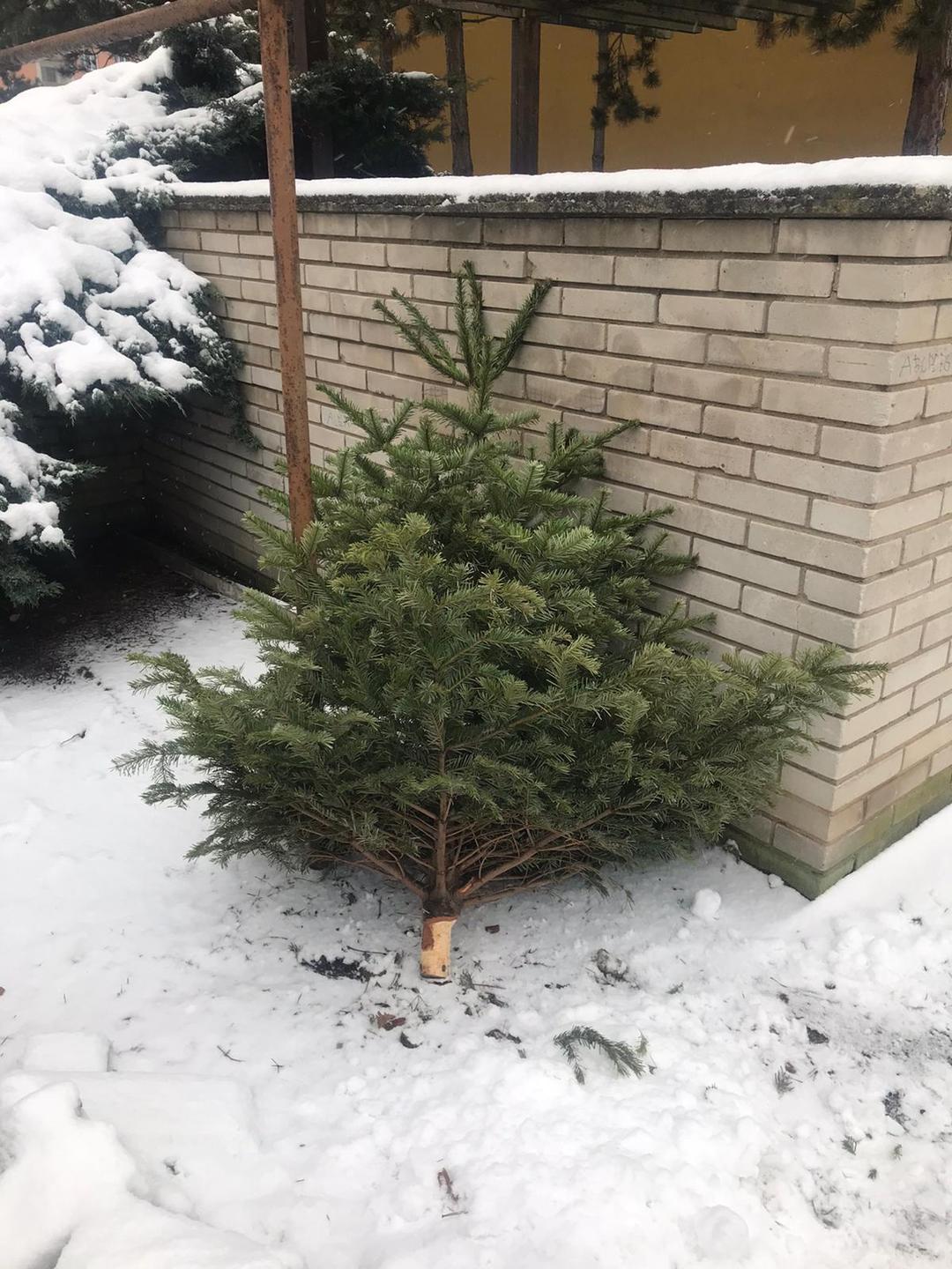 Čistá budoucnost je společný cíl | AVE CZ
